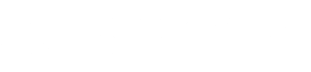 BlackPoint Capital Partners logo in white on transparent background