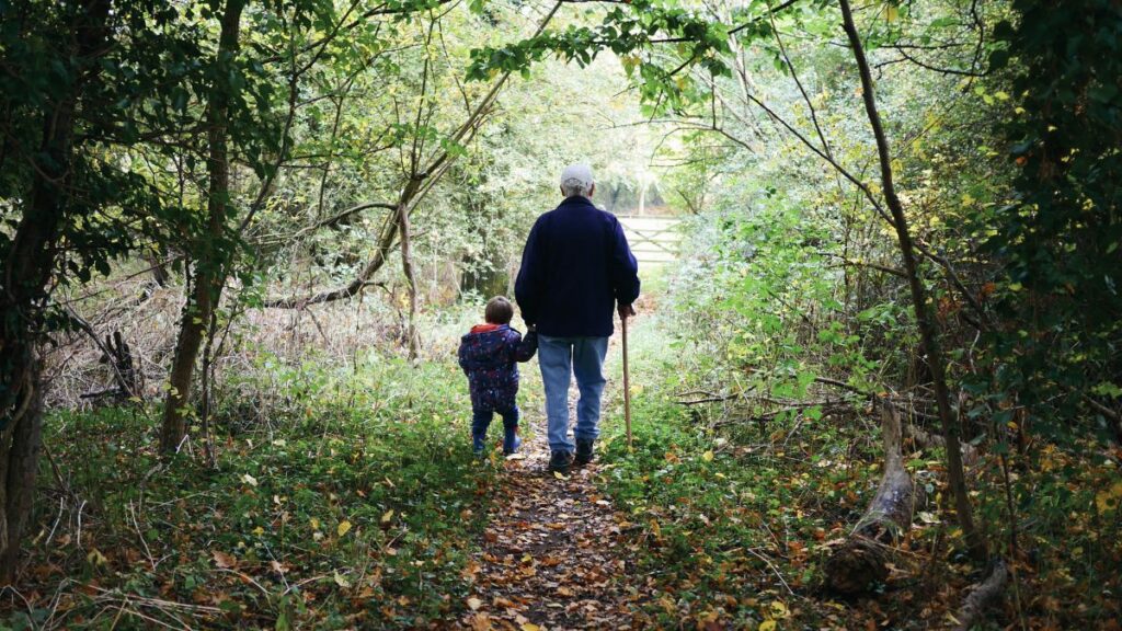 Grandparent walking hand in hand with a young grandchild.